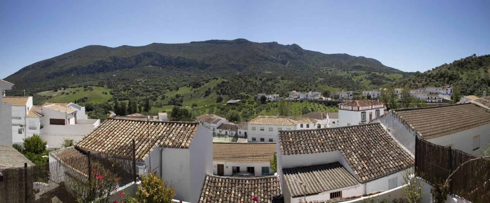 La Posada De La Muela アルゴドナレス エクステリア 写真